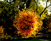 Chihuly at the Dallas Arboretum
