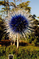 Chihuly Nights,